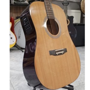 Fishman Manyetikli Akustik Gitar