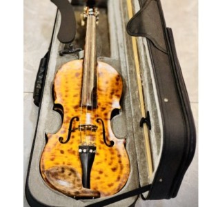 Stradivarius Referanslı Stradim Keman